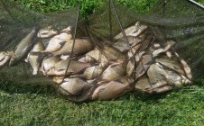 Фото рыбалки в Пронск 1