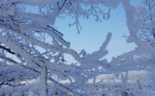 Фото рыбалки в Волковысский район 8