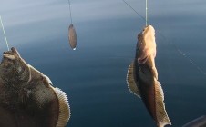 Фото рыбалки в Долинский городской округ 5