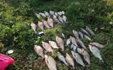 Фото рыбалки в Гафурийский район 1