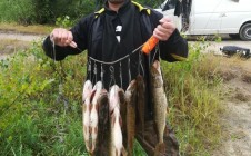 Фото рыбалки в Черниговский район 3