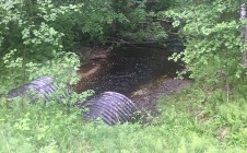 Фото рыбалки в Лодейнопольский район 3