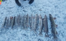 Фото рыбалки в Иргизский район 0