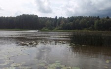 Фото рыбалки в Петрилово, Даниловский район 3