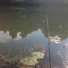 Фото рыбалки в Жерех, Лещ, Щука 1