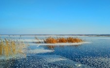 Фото рыбалки в Челябинская область 9