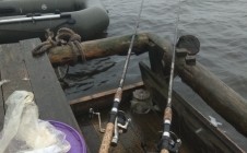 Фото рыбалки в Проточное 11