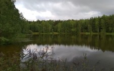 Фото рыбалки в городской округ Балашиха 1