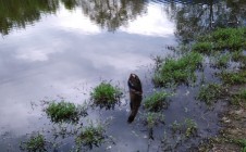 Фото рыбалки в городской округ Балашиха 9