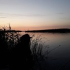 Фото рыбалки в Щука, Голавль, Жерех 1