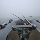 Фото рыбалки в Щука, Окунь 1
