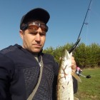 Фото рыбалки в Плотва 0