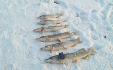 Фото рыбалки в Тайыншинский район 1