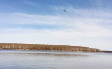 Фото рыбалки в Десногорск 7
