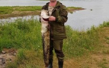 Фото рыбалки в Любытинский район 11
