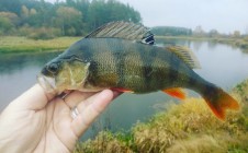 Фото рыбалки в Чехи 0
