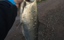 Фото рыбалки в Кирово-Чепецкий район 2