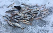 Фото рыбалки в Парус, городской округ Солнечногорск 0
