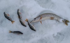 Фото рыбалки в городской округ Навашинский 8