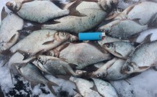 Фото рыбалки в Омск 2