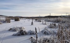 Фото рыбалки в Ужурский район 2