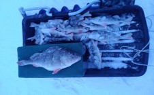 Фото рыбалки в Овсянникова 7