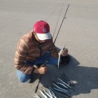 Фото рыбалки в Барабулька, Зеленушка, Скорпена-ёрш, Ставрида 2