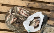 Фото рыбалки в Приобье 6