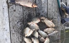 Фото рыбалки в Путьково 1