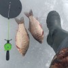 Рыбалка Карась