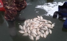 Фото рыбалки в Ксеньевка 2