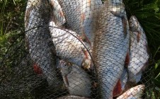 Фото рыбалки в Марино, городской округ Нефтекамск 0