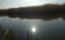 Фото рыбалки в Пешково 3