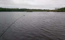 Фото рыбалки в Дома 1096 километр 0