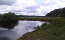 Фото рыбалки в Плоское, Лужский район 0