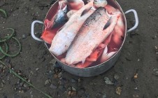 Фото рыбалки в Чукотский автономный округ 0