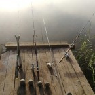 Фото рыбалки в Карп, Сазан 2