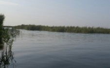 Фото рыбалки в Приморско-Ахтарский район 3