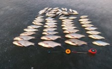 Фото рыбалки в Слабада 0