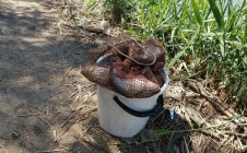 Фото рыбалки в Волгодонской район 1