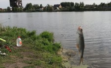Фото рыбалки в Русавкино-Поповщино 6