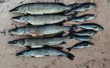 Фото рыбалки в Кандалакша 1
