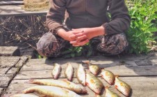 Фото рыбалки в Тимашевск 5