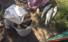 Фото рыбалки в Воскресеновка, Лиманский район 5