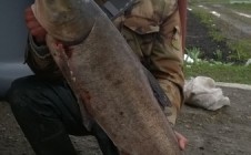 Фото рыбалки в Вольное, Синельниковский район 1
