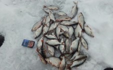 Фото рыбалки в Павловский район 5