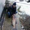 Рыбалка Судак, Толстолоб