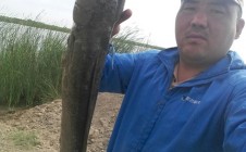 Фото рыбалки в Кызылординская область 0