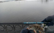 Фото рыбалки в Арамильский городской округ 1