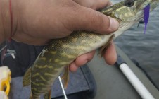 Фото рыбалки в Лозовица 7